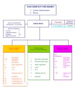 organigramme-vignette